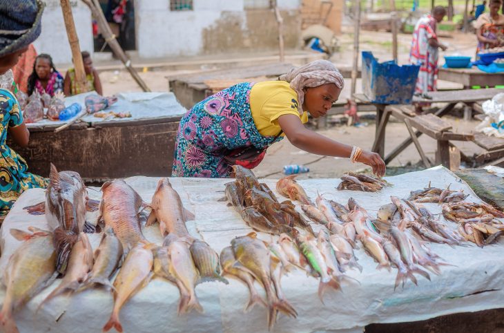 🎧 La flambée des prix du poisson chinchard importé, dit « mpiodi », souligne les défis de la pêche en RDC