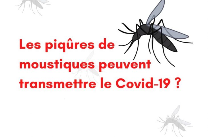 Les piqûres de moustiques peuvent transmettre le Covid-19 ?