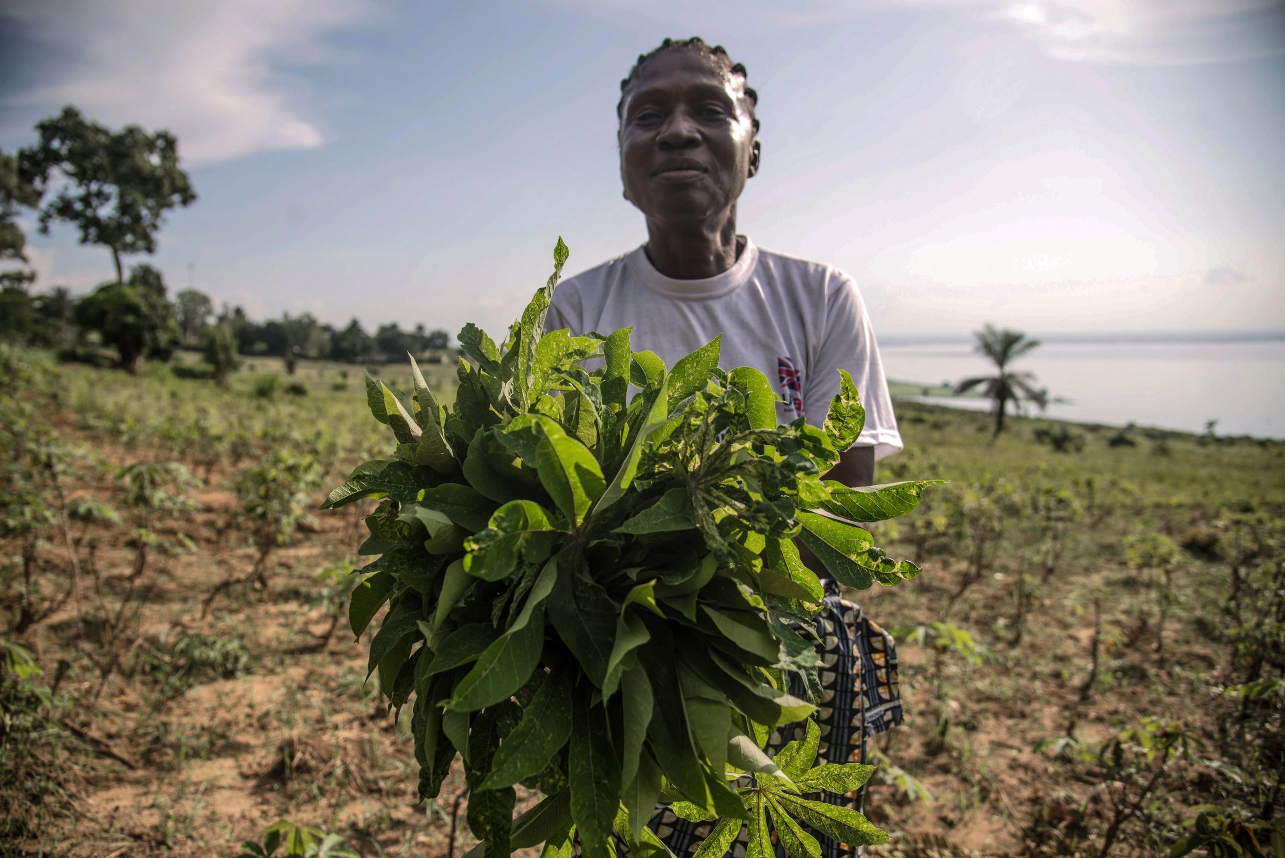 Environnement : Des femmes d’Isangi formées sur des pratiques agricoles qui préservent la terre