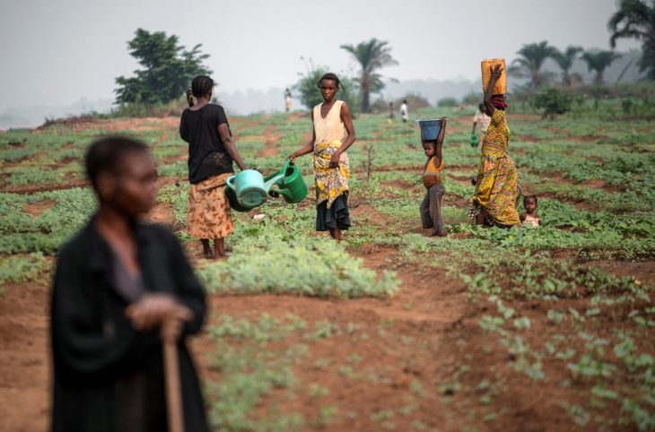 Covid-19 : Face à la crise, les maraichères de la RDC à bout de souffle